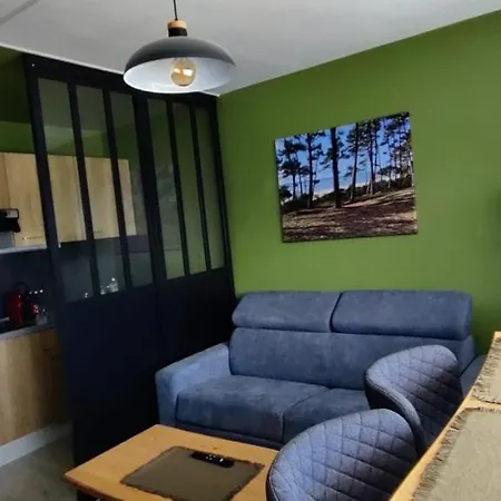 Nice Apt Of 30m Near The Beach! Arcachon